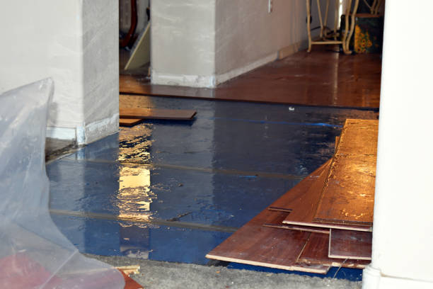 Professional Water Damage Restoration technician working in Oakland, MO